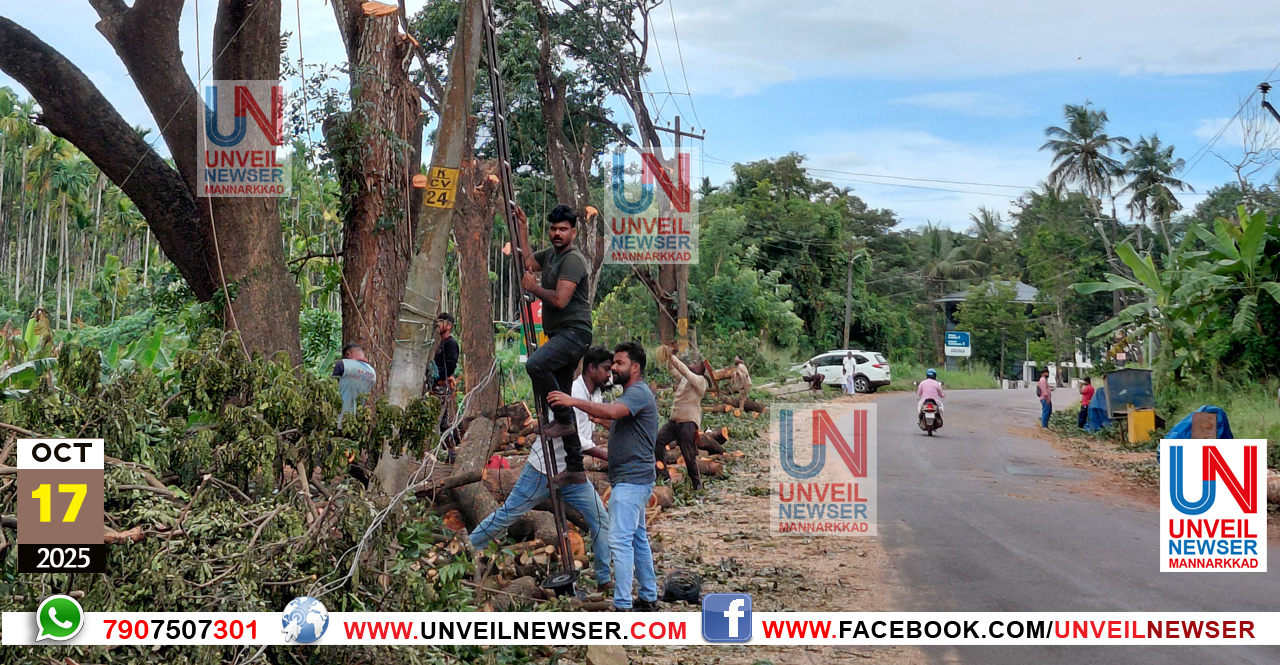 MALAYORAM MARAM MURI