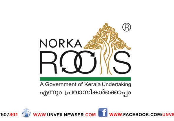 NORKA ROOTS