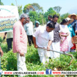 PACHAKKARI VILAVEDUPPU