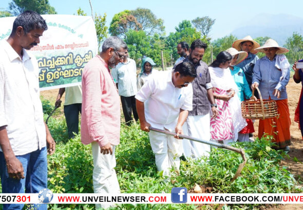 PACHAKKARI VILAVEDUPPU