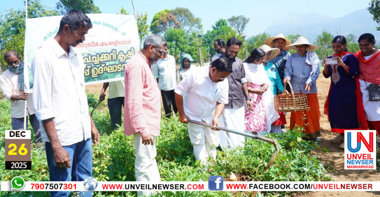 PACHAKKARI VILAVEDUPPU