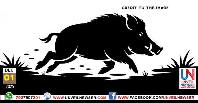 WILD BOAR