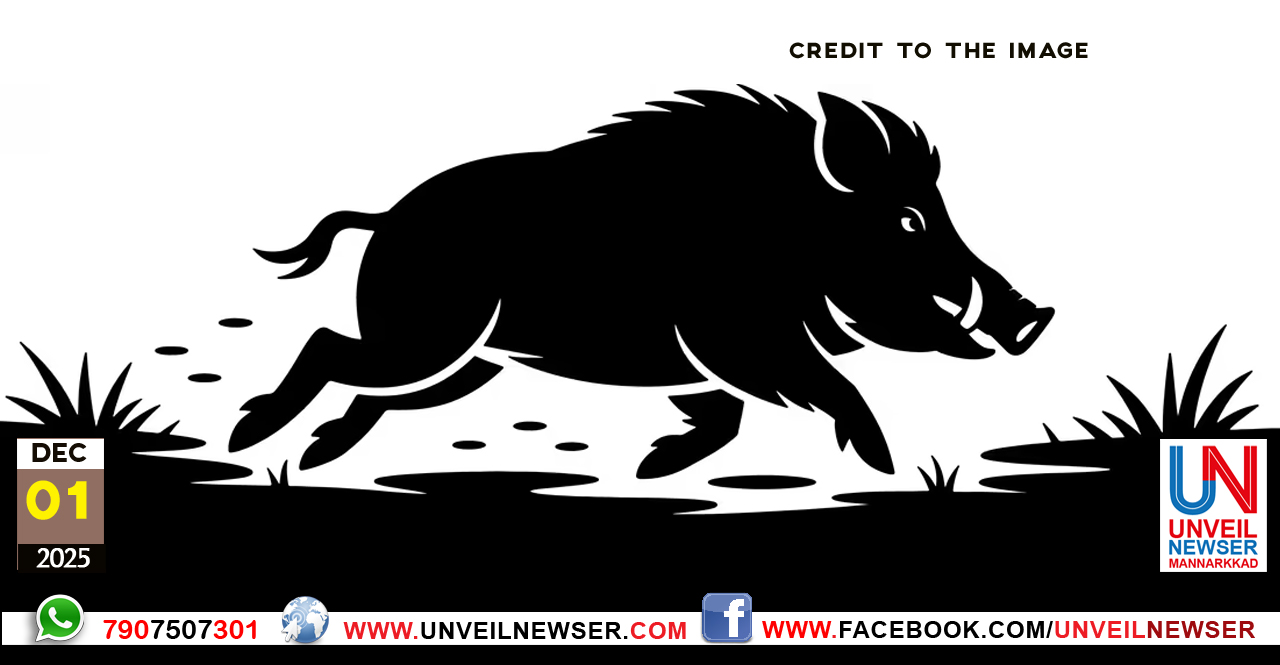 WILD BOAR