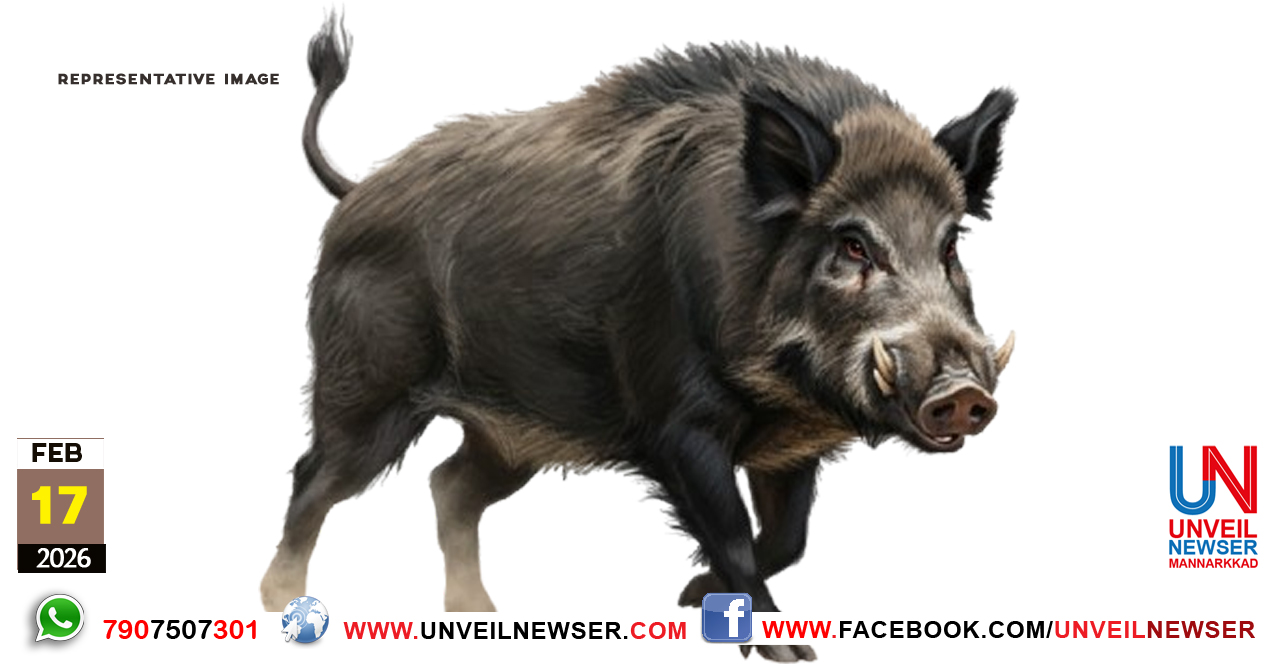 KATTUPANNI AKARAMANAM