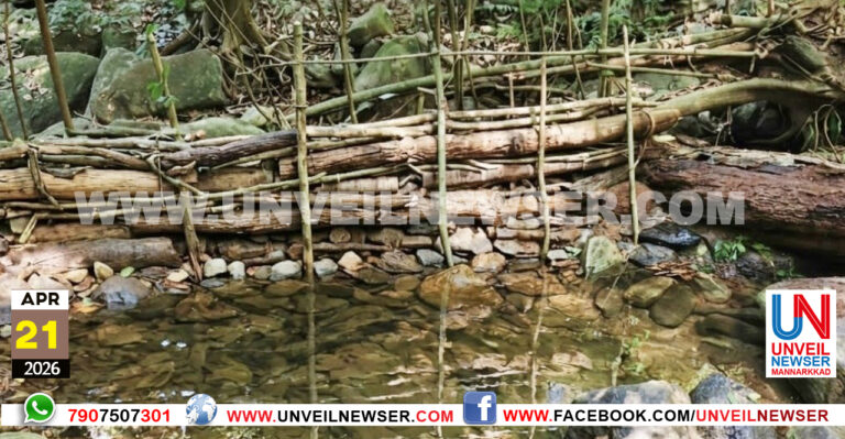 BRUSH WOOD CHECKDAM
