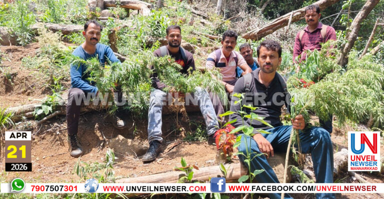 GANJA ATTAPPADY
