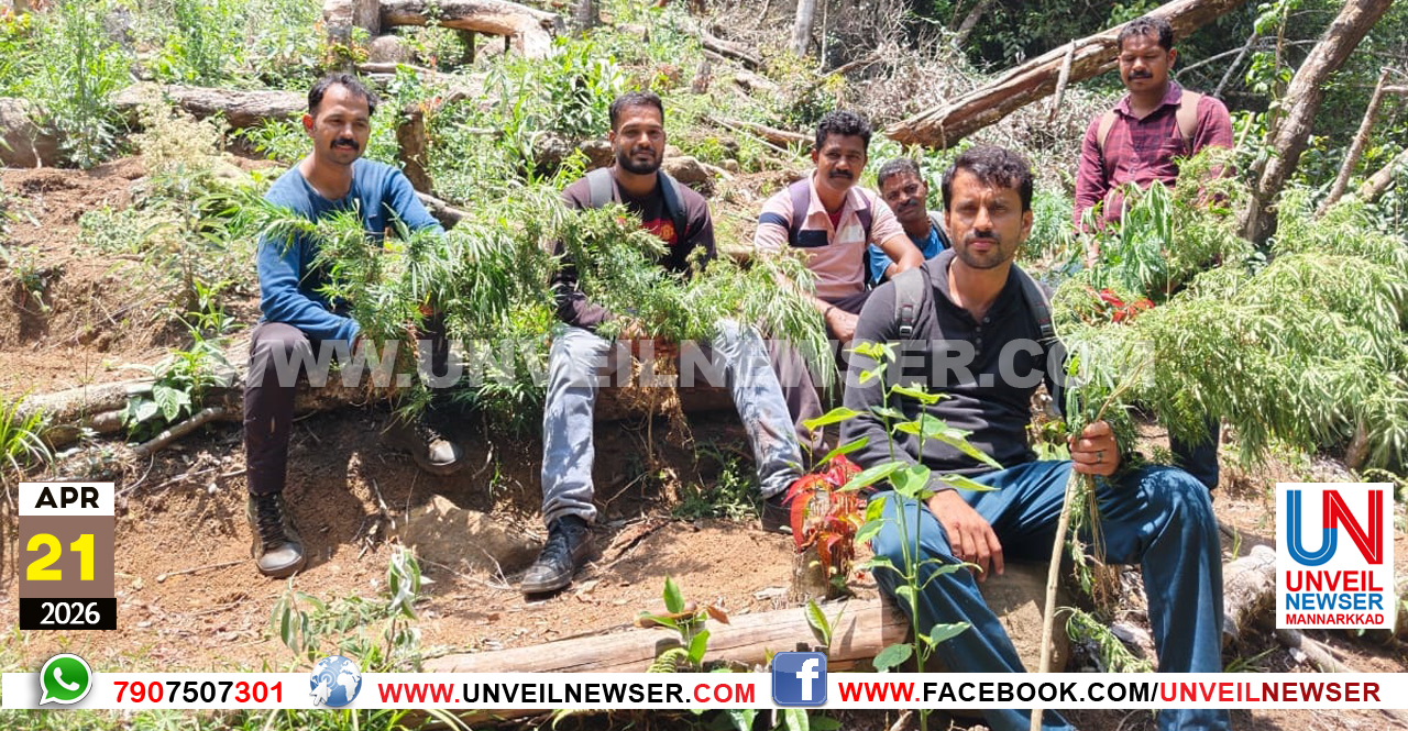 GANJA ATTAPPADY