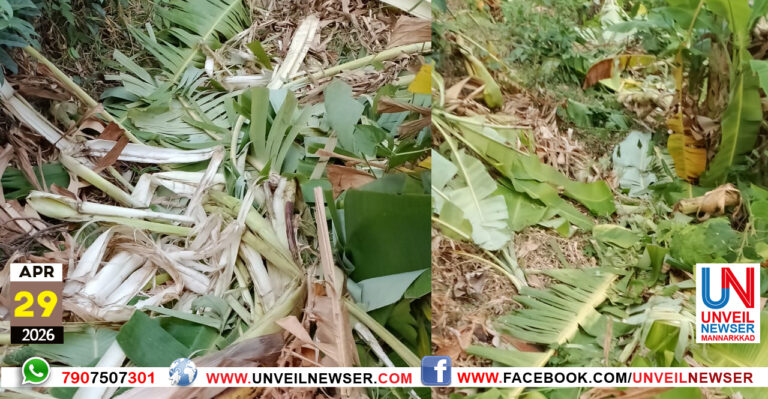 KATTANAKAL KRISHI NASIPPICHU