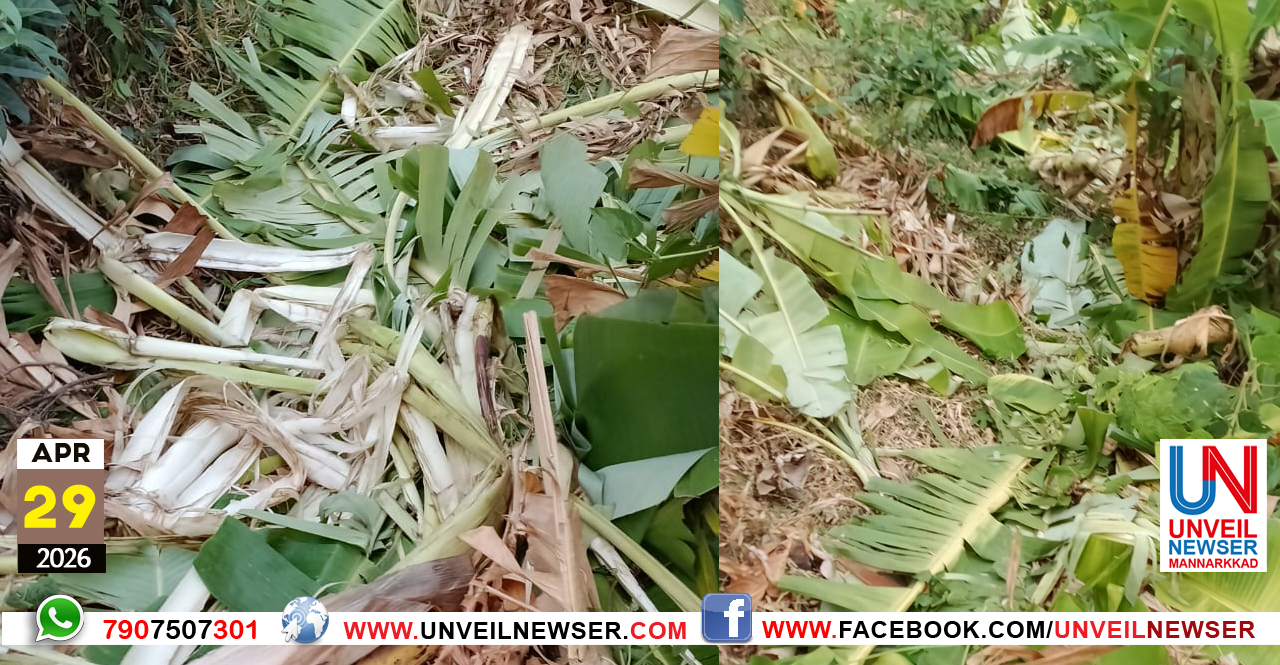 KATTANAKAL KRISHI NASIPPICHU