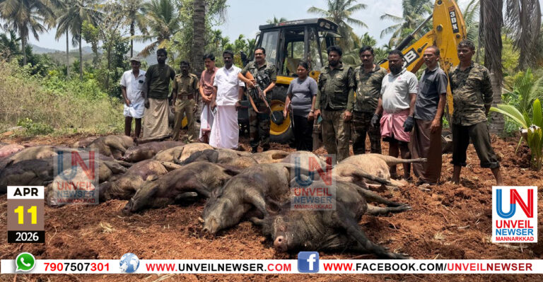 KATTUPANNIKALE VEDIVECHU KONNU