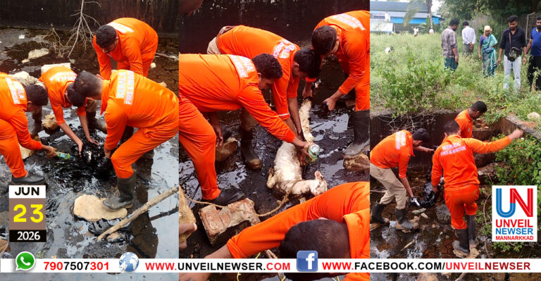 ADUKALE RESCUE