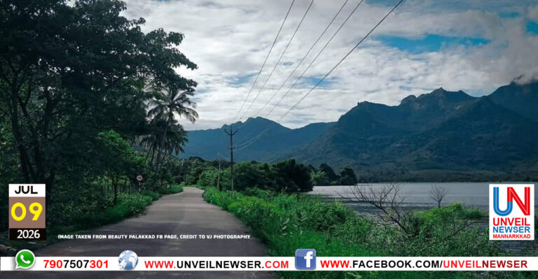 KAVA ROAD