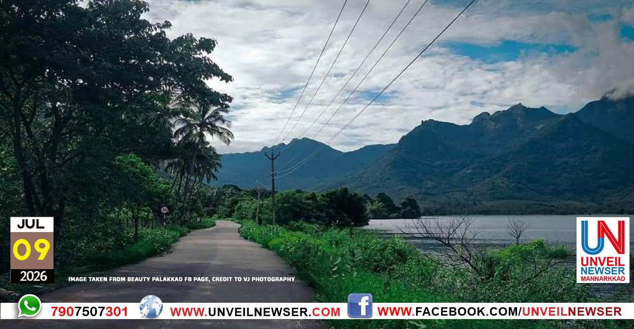 KAVA ROAD