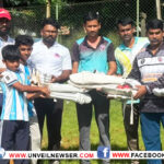 CRICKET KIT