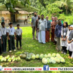 KAVILE PACHAKKARI SCHOOLILEKKU