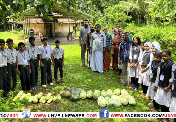 KAVILE PACHAKKARI SCHOOLILEKKU