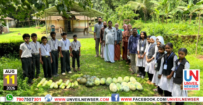 KAVILE PACHAKKARI SCHOOLILEKKU