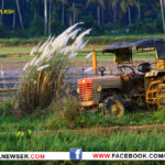 AGRICULTURE APPLY