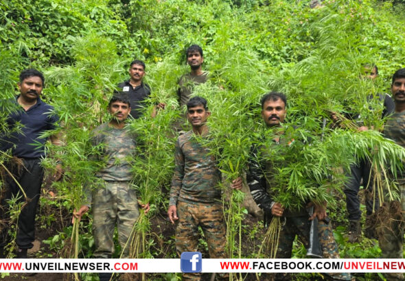 GANJA