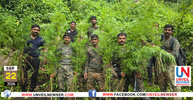 GANJA